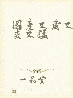 国产又黄又大又爽又猛