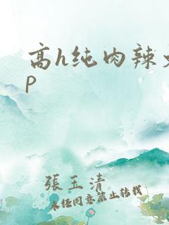 高h纯肉辣文np