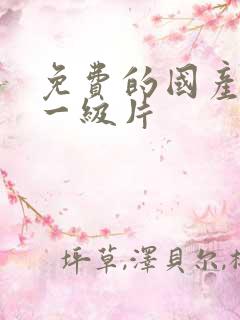 免费的国产黄色一级片