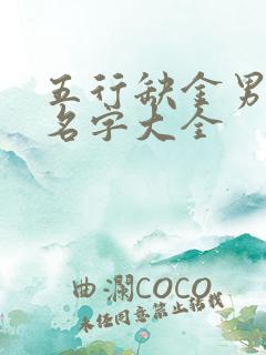 五行缺金男宝宝名字大全