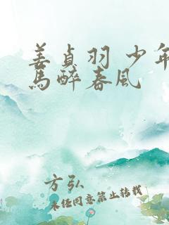 姜贞羽 少年白马醉春风