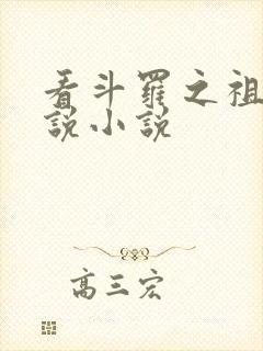 看斗罗之祖龙传说小说