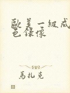 欧美一级成人黄色录像