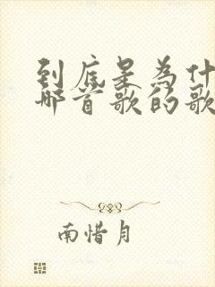 到底是为什么是哪首歌的歌词