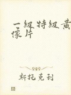 一级特级黄色录像片