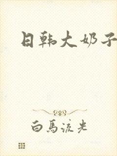 日韩大奶子视频