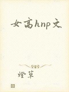 女高hnp文