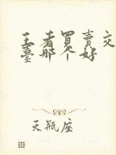 王者买卖交易平台哪个好