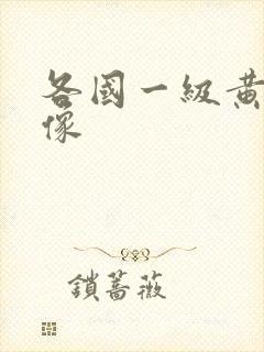 各国一级黄色录像