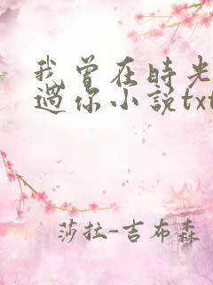 我曾在时光里听过你小说txt