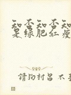 知否知否知否应是绿肥红瘦讲的是什么