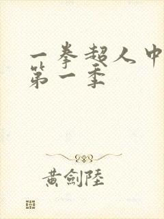 一拳超人中文版第一季