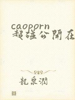 caoporn超碰公开在线