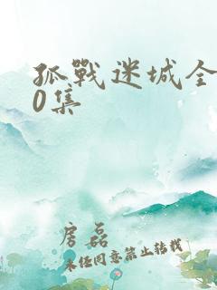 孤战迷城全集40集