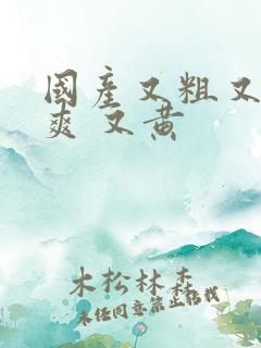 国产又粗又猛又爽 又黄