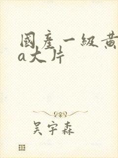 国产一级黄色aa大片