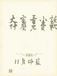 大家看小说都用什么免费软件