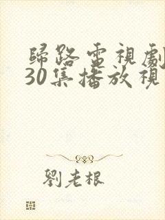 归路电视剧全集30集播放视频
