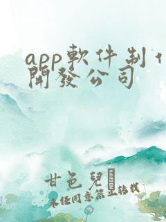 app软件制作开发公司