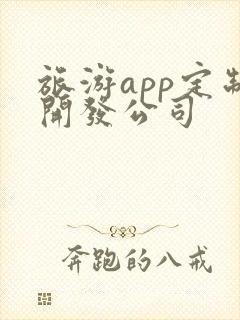 旅游app定制开发公司