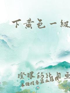 下黄色一级片