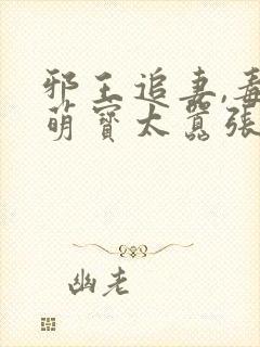 邪王追妻,毒妃萌宝太嚣张