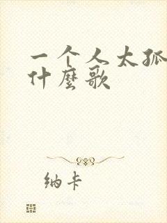 一个人太孤独是什么歌