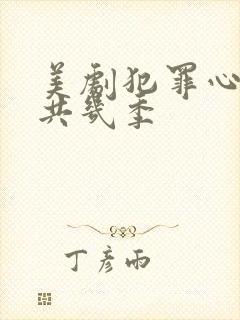 美剧犯罪心理一共几季