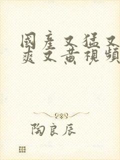 国产又猛又粗又爽又黄视频