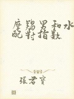 摩羯男和水瓶女配对指数