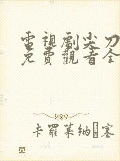 电视剧尖刀战士免费观看全集高清