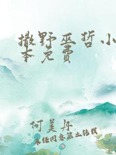 撒野巫哲小说全本免费