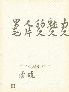 男人的魅力av毛片久久久