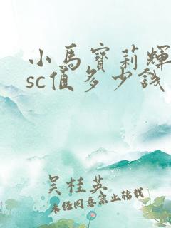 小马宝莉辉月7sc值多少钱