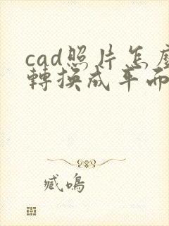 cad照片怎么转换成平面图