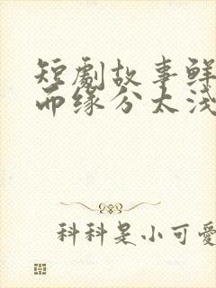 短剧故事鲜艳,而缘分太浅