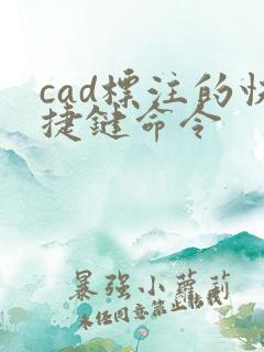 cad标注的快捷键命令