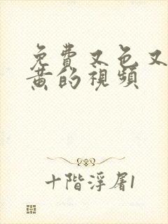 免费又色又爽又黄的视频