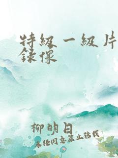 特级一级片黄色录像