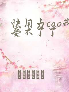 快用力cao我受不了了