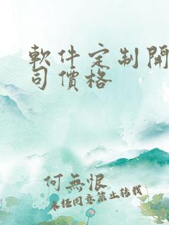 软件定制开发公司价格