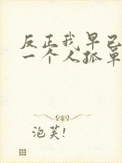 反正我早已喜欢一个人孤单什么歌