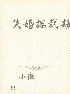 失婚总裁劫前妻