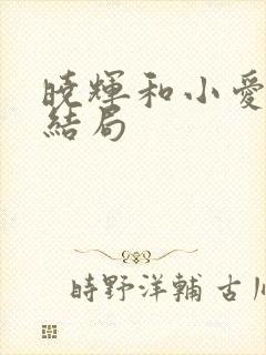 晓辉和小爱最后结局