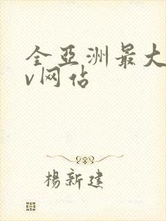 全亚洲最大的av网站