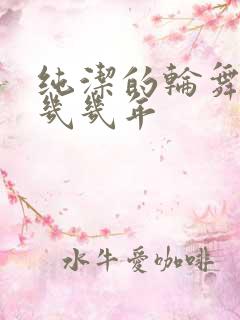 纯洁的轮舞曲是几几年