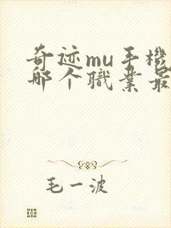 奇迹mu手机版哪个职业最好