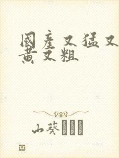 国产又猛又爽又黄又粗