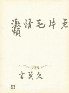 激情毛片免费视频