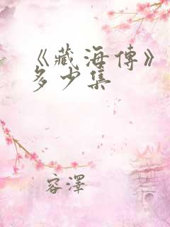 《藏海传》一共多少集